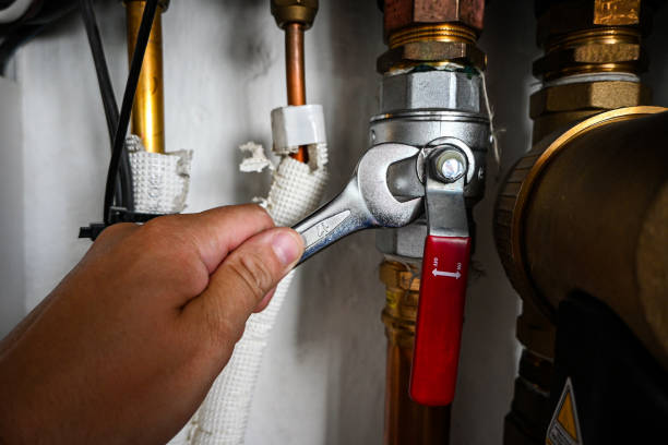 Best Plumbing Inspection Services  in Ridge, NY